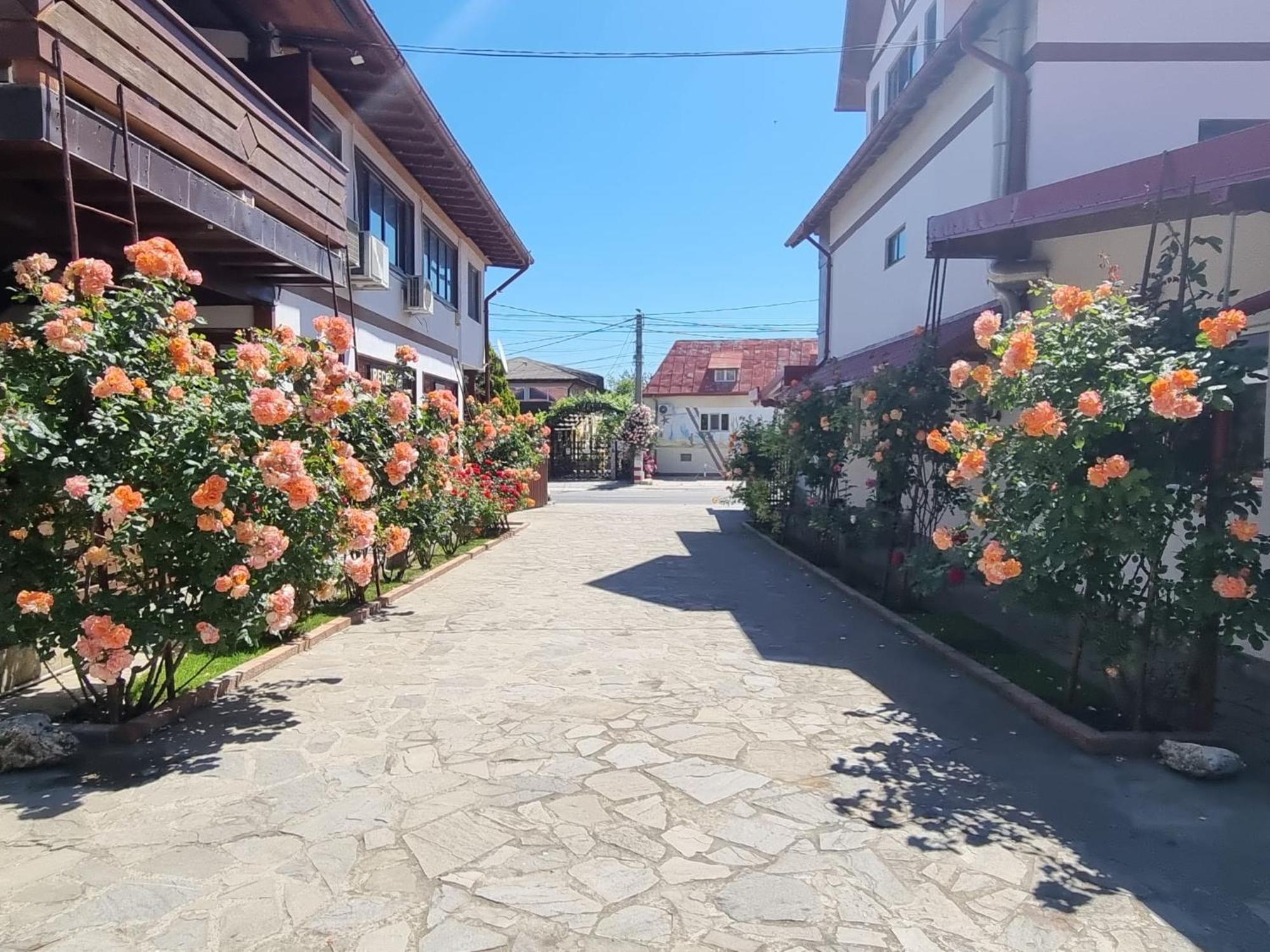 Готель Casa Luca Вама-Веке Екстер'єр фото